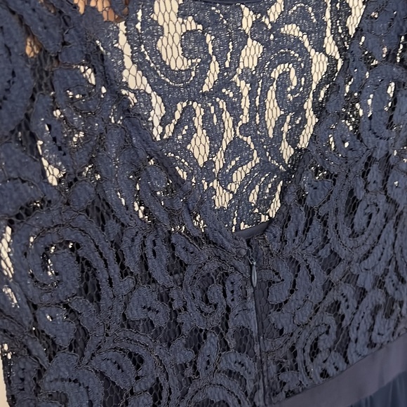 Adrianna Papell lace illusion gown. - Picture 4 of 6